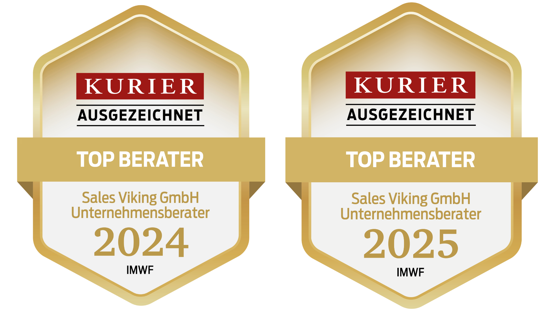Sales Viking Auszeichnung 2024/2025